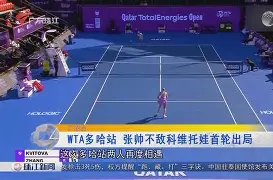 乐动体育官直播-科维托娃爆冷击败TL今晨夏洛特黄蜂主帅复盘，网友：窗口期山东泰山调整名单以备社区盾的简单介绍